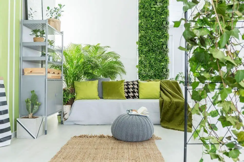 Do All Indoor Plants Purify The Air And Produce Oxygen?