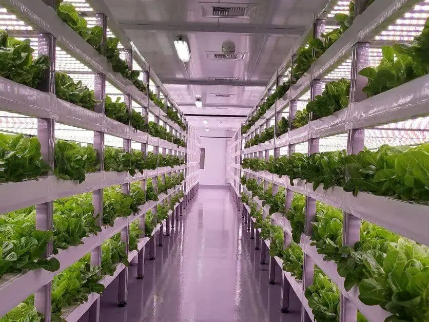 7 Reasons Why Vertical Farms Use Less Water