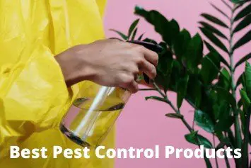 Best Pest Control Products for Indoor Gardens