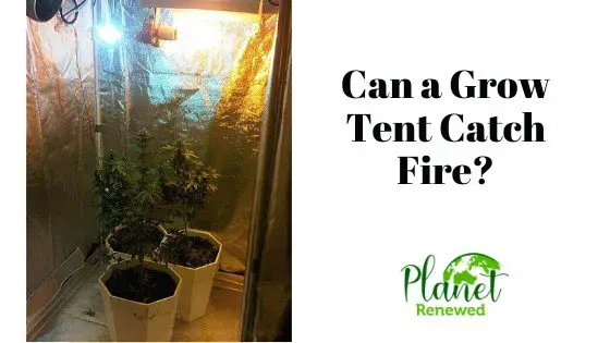 Can a Grow Tent Catch Fire?