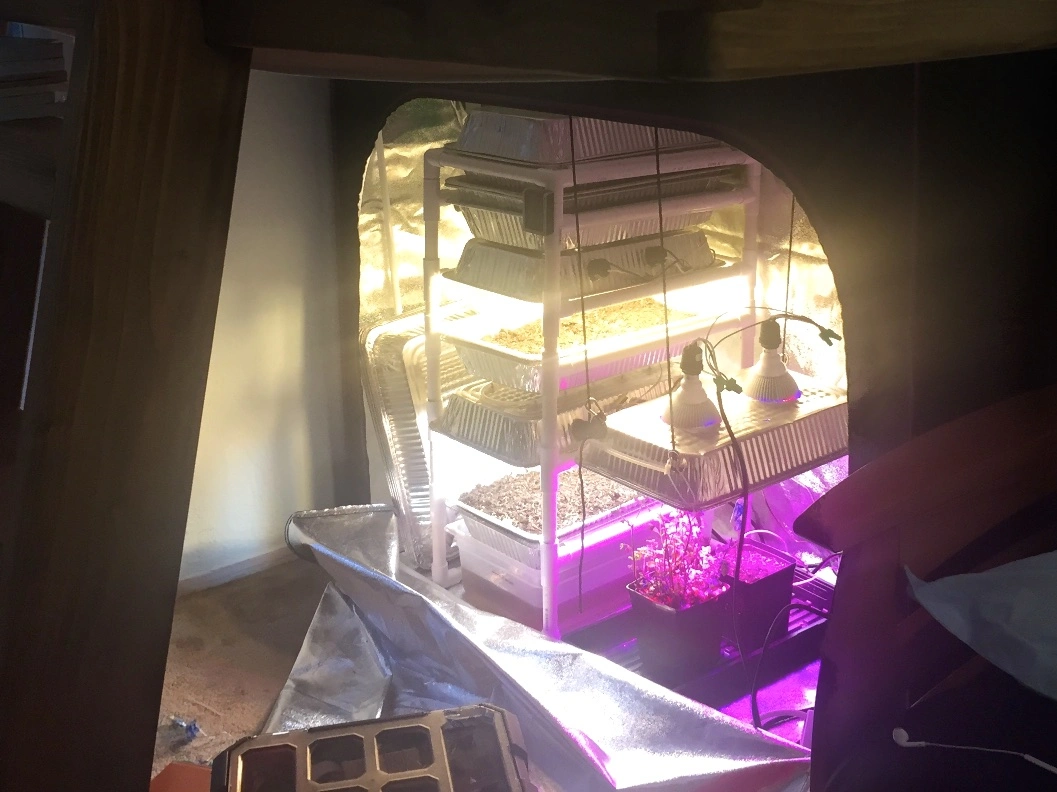 How to Choose the Right Size Grow Tent: The Full Guide