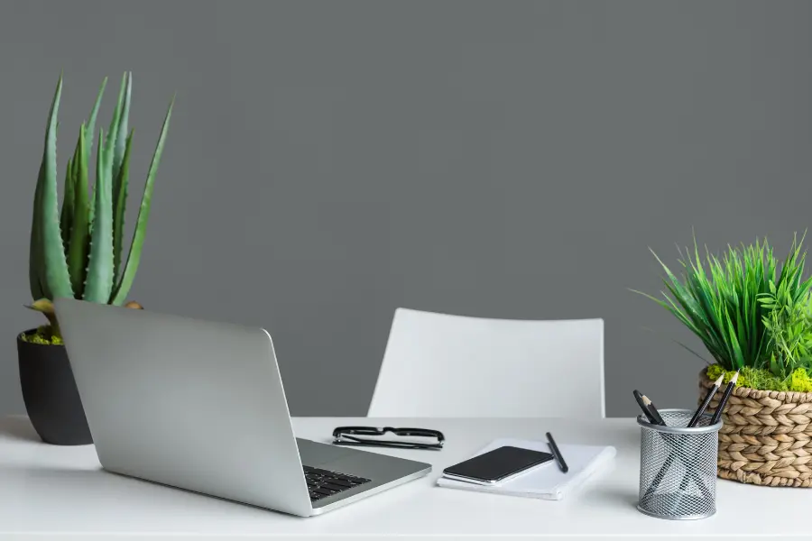The Best Office Plants to Bring Life to Your Desk