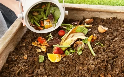 The Pros and Cons of Composting