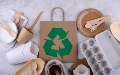 Why Use Eco-Friendly Products? We’ve Got the Answer