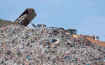7 Reasons Why Reducing Waste To Landfill Is Important