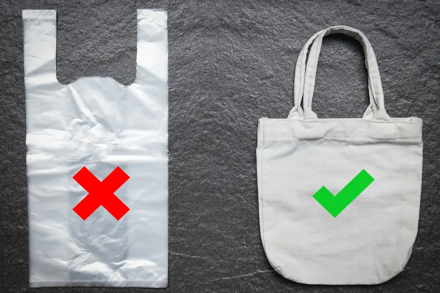 14 Reasons Why You Should Reuse Plastic Bags