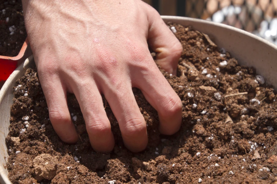 A Guide To Reusing Potting Soil