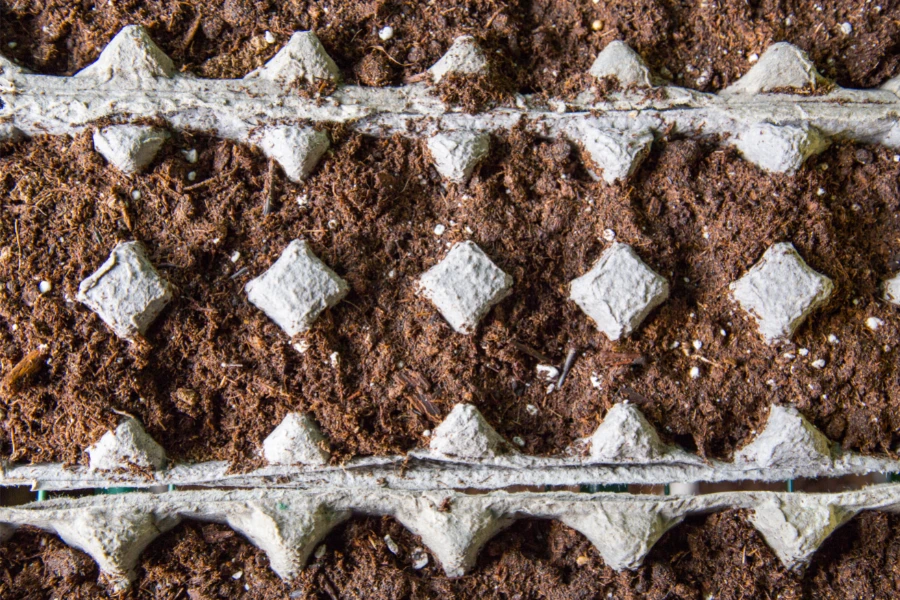 Can You Compost Egg Cartons? (We Find Out)